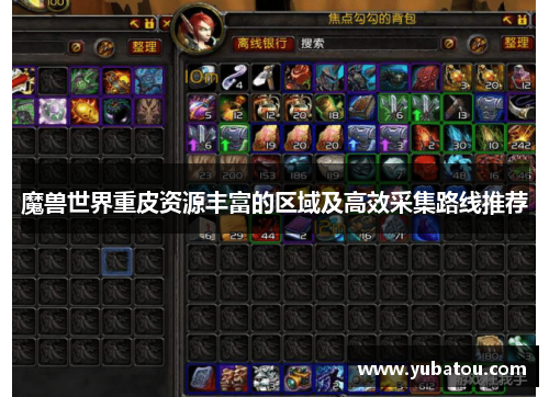 魔兽世界重皮资源丰富的区域及高效采集路线推荐